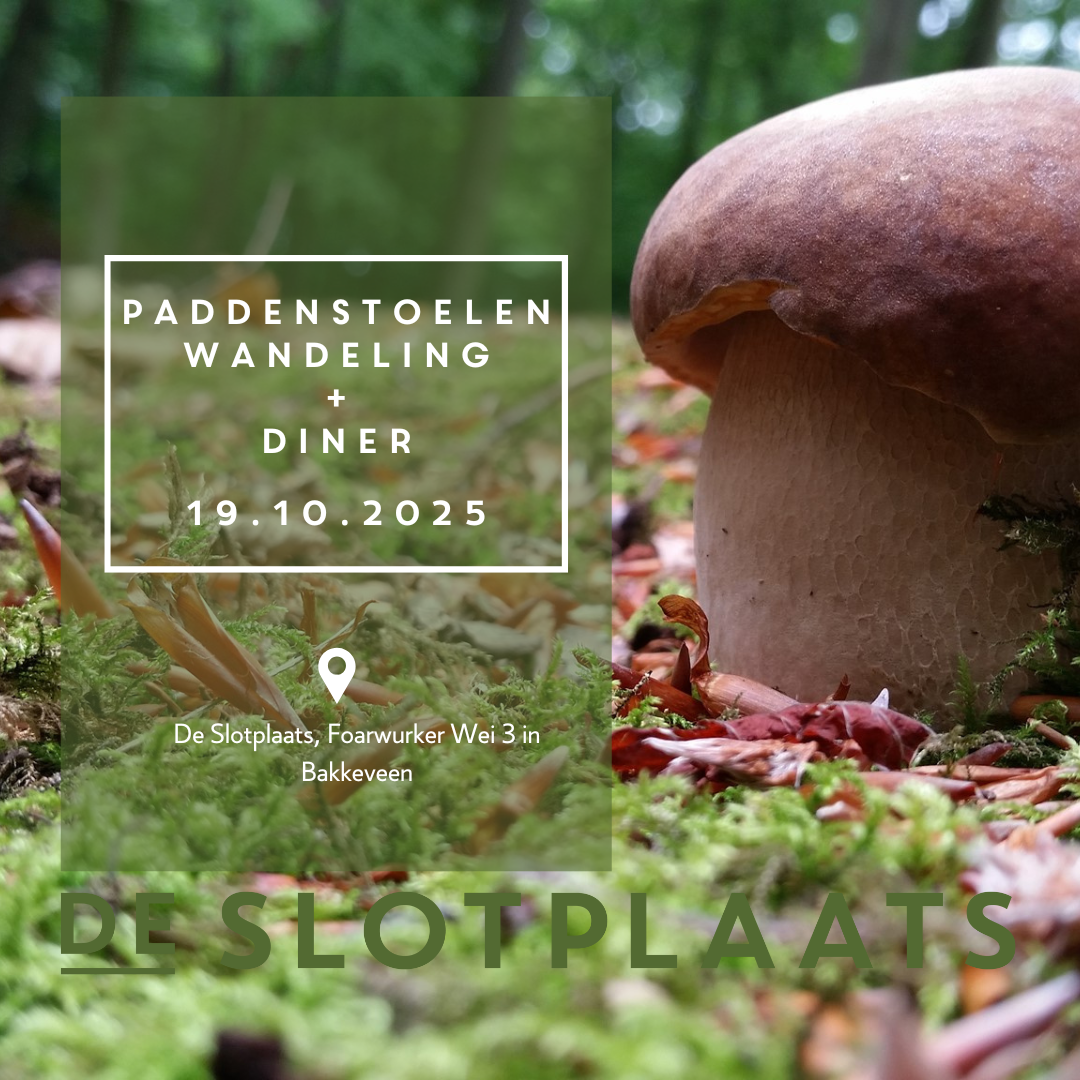 paddenstoelenwandeling